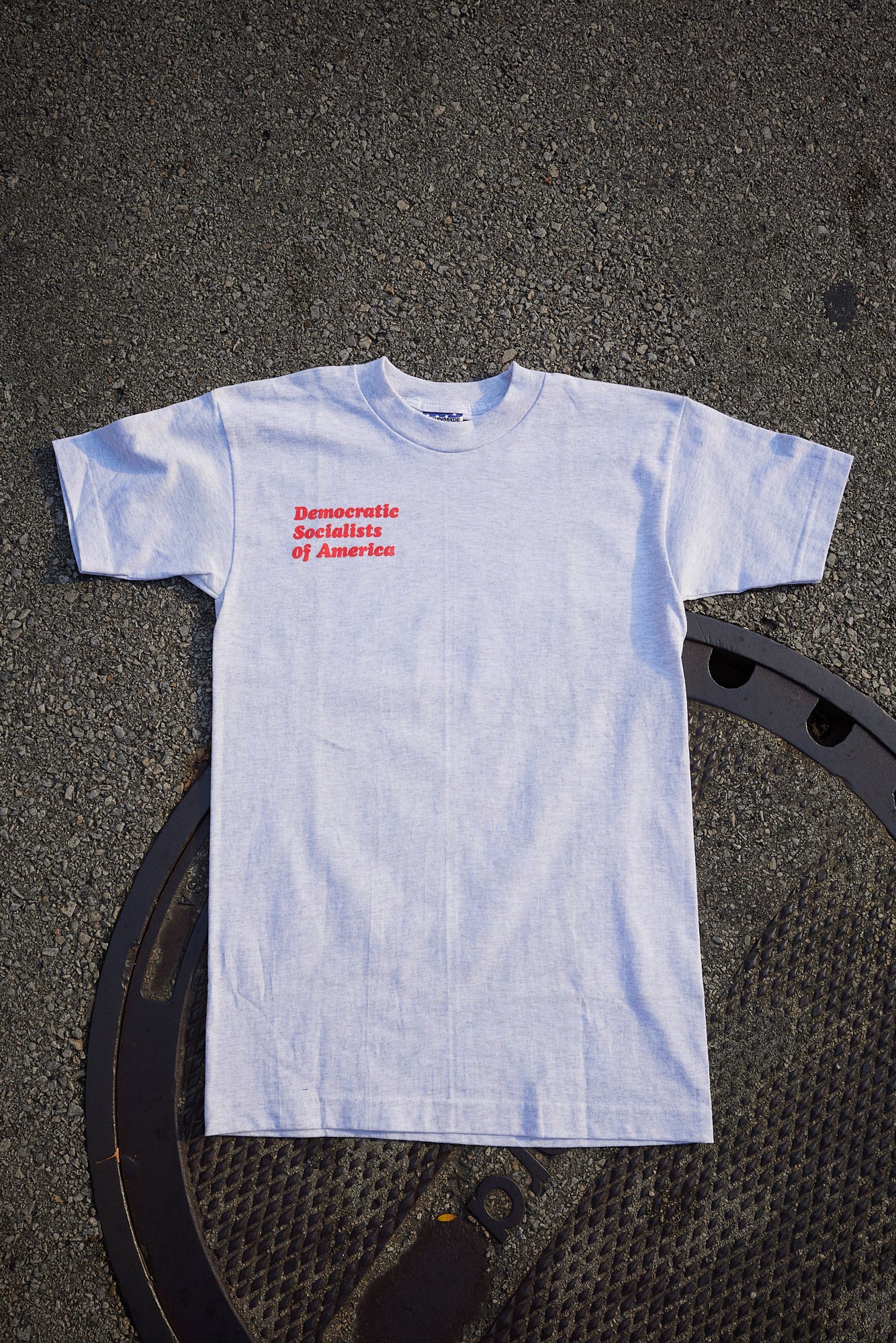 DSA "A Better World is Possible" Ash Grey Tee