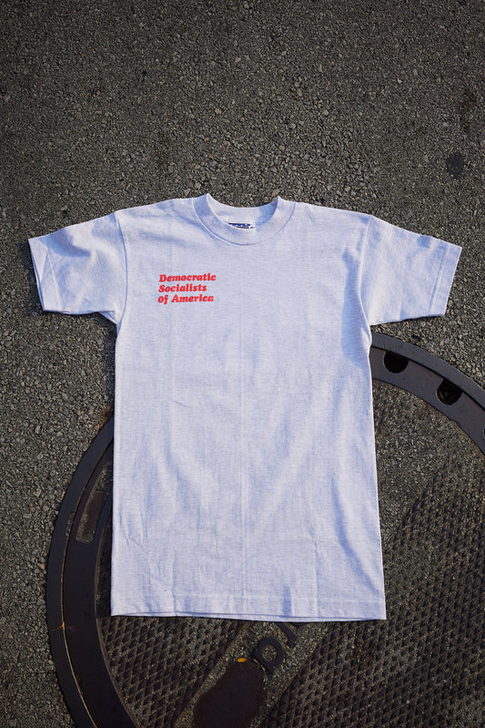 DSA "A Better World is Possible" Ash Grey Tee