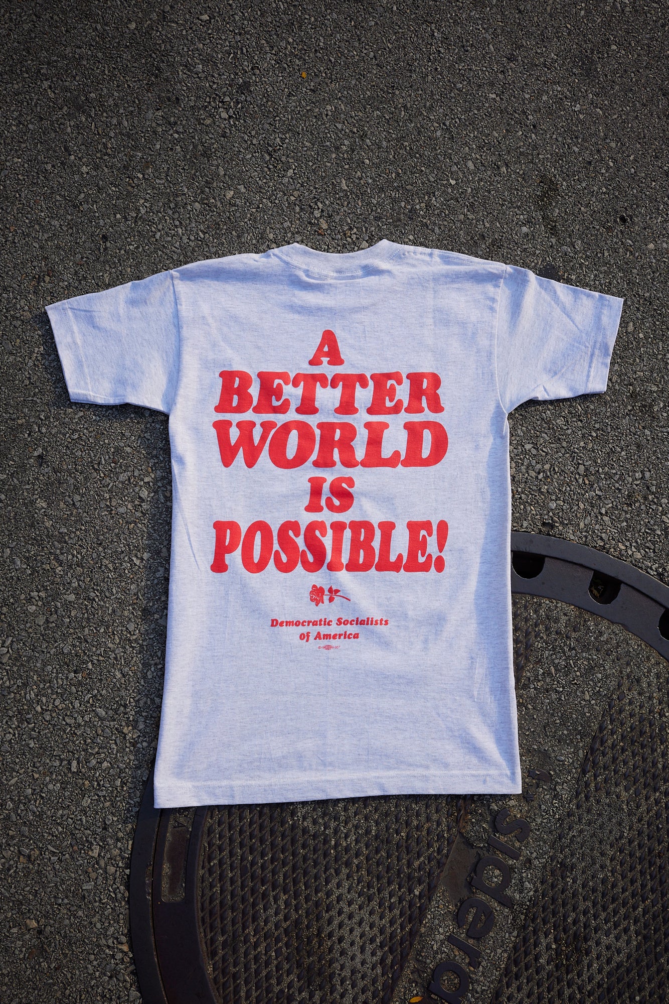 DSA "A Better World is Possible" Ash Grey Tee