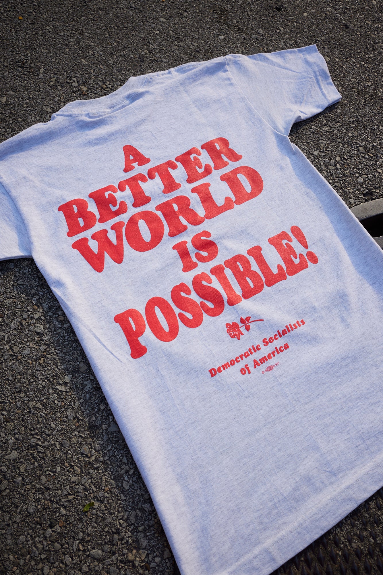 DSA "A Better World is Possible" Ash Grey Tee