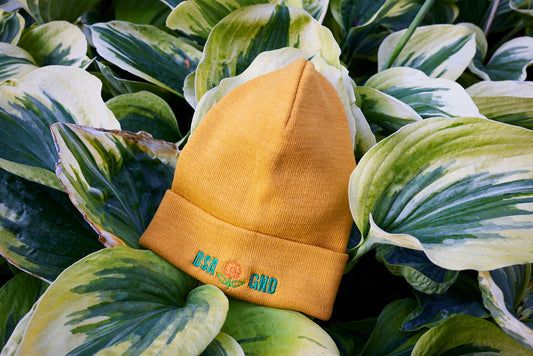 Green New Deal Beanie