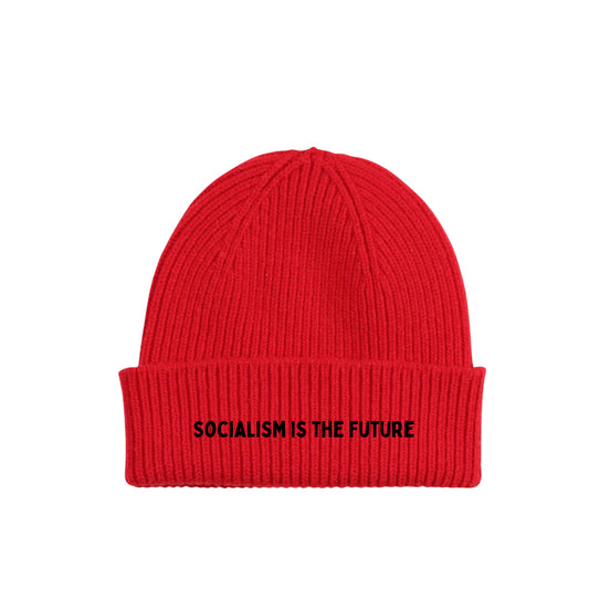 Socialism is the Future Beanie