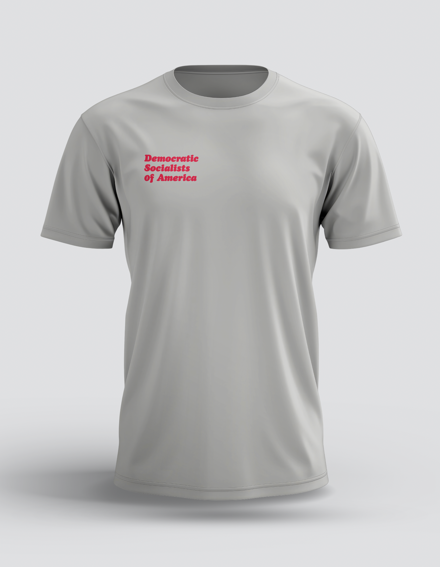 DSA "A Better World is Possible" Ash Grey Tee