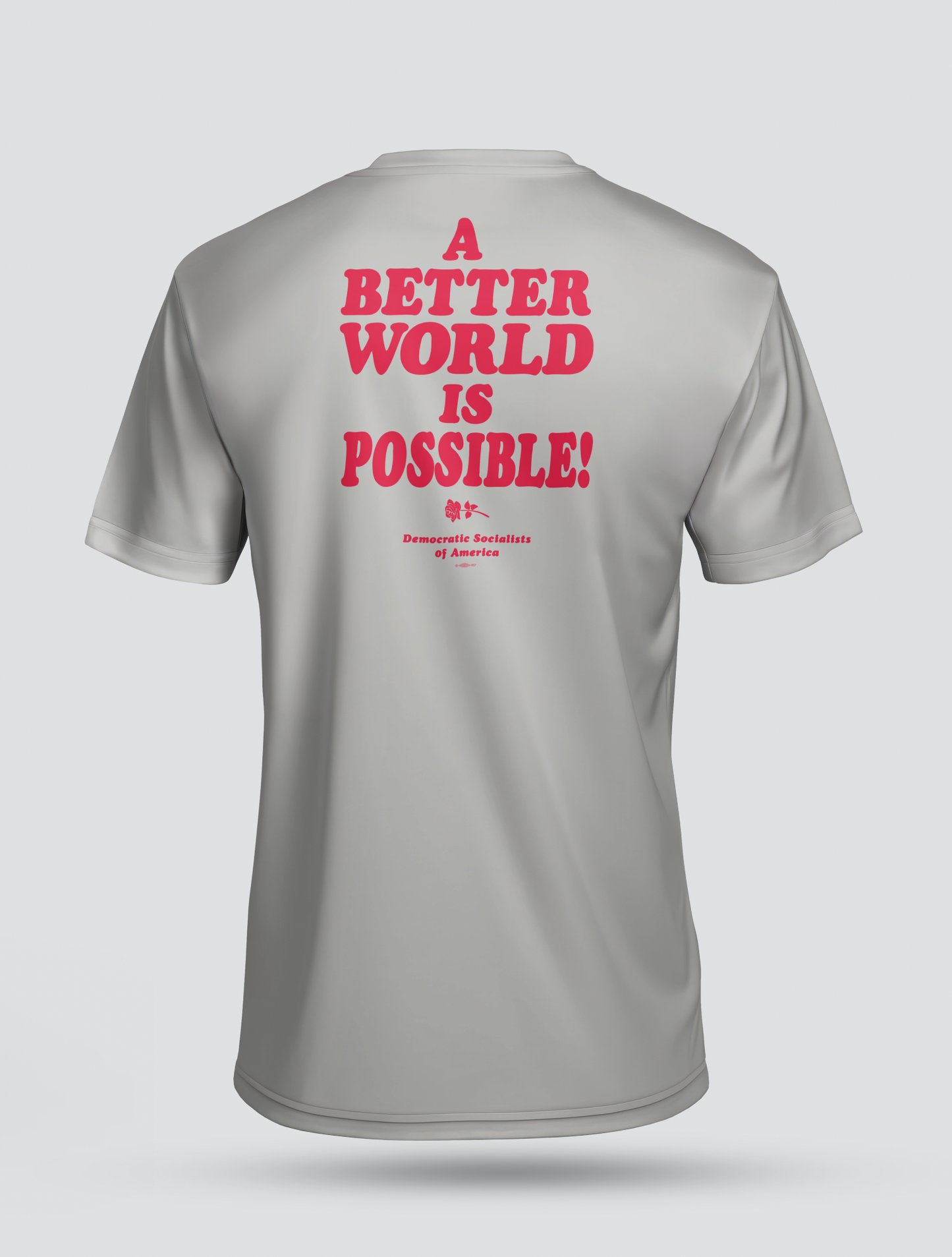 DSA "A Better World is Possible" Ash Grey Tee