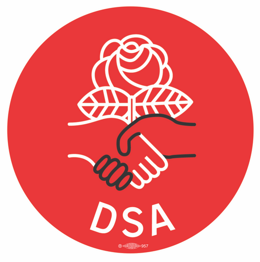 DSA Logo Sticker 25 Pack
