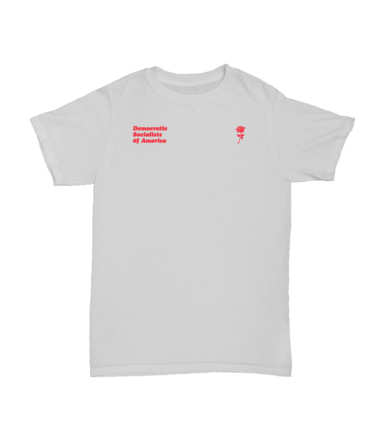 DSA "A Better World is Possible" Ash Grey Tee