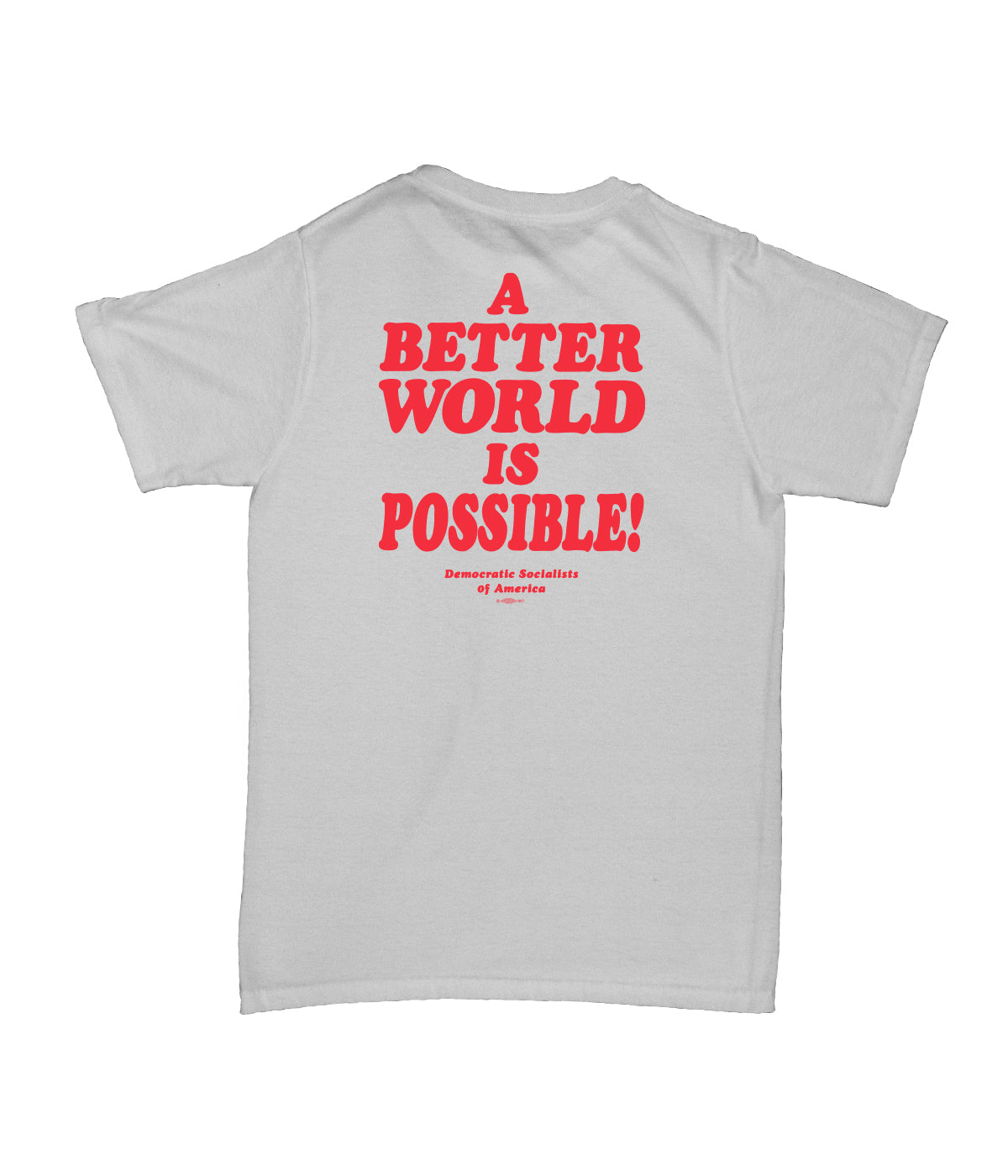 DSA "A Better World is Possible" Ash Grey Tee